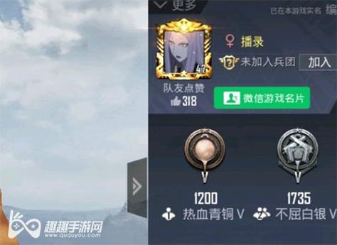 和平精英辅助【九世】